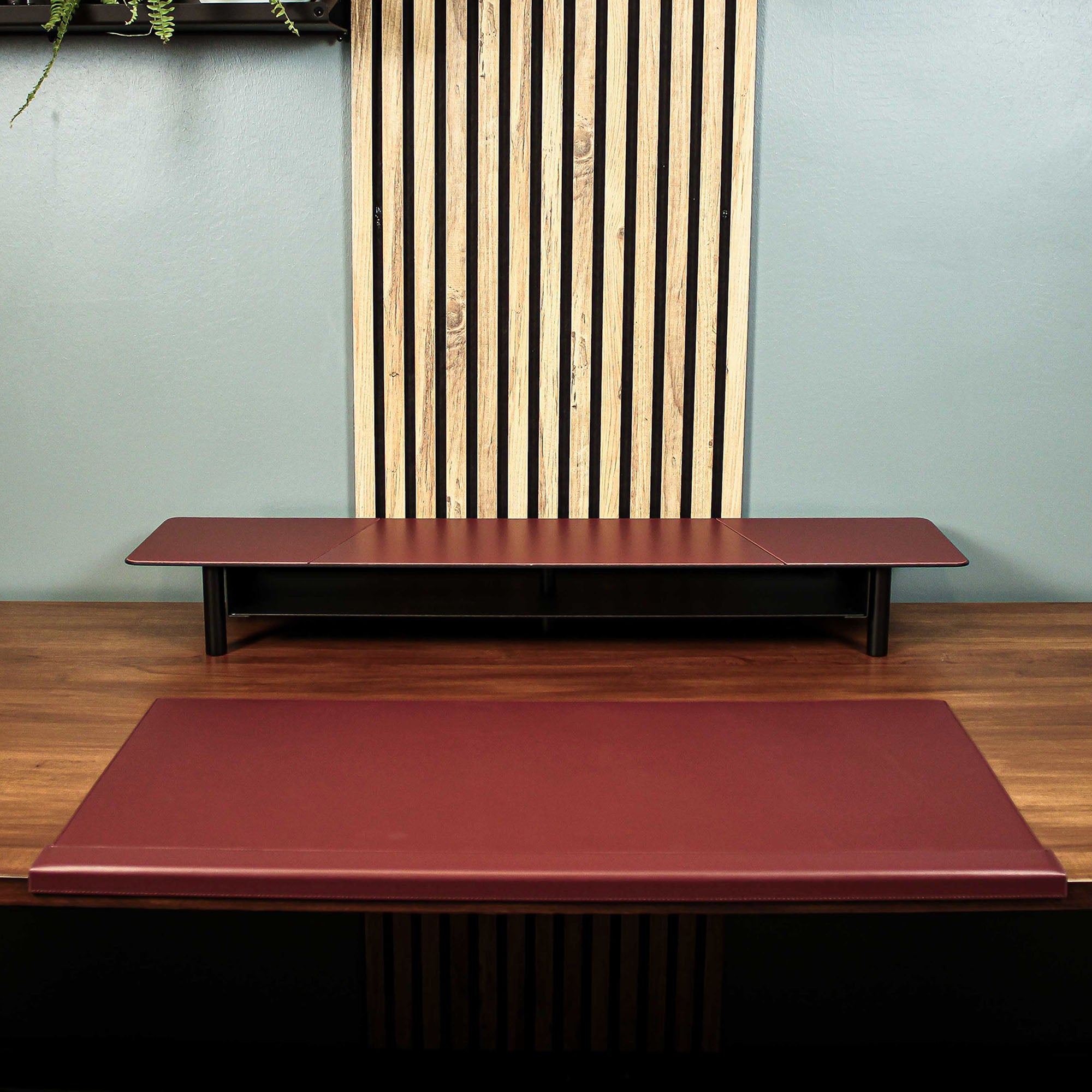 Monitor Stand office desk shelf organizer