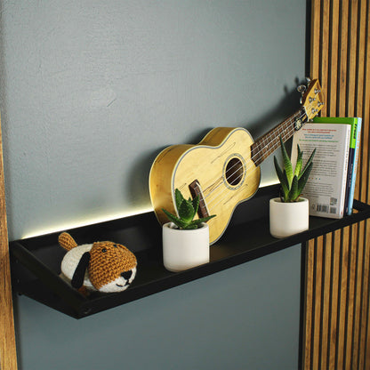 Floating Shelf